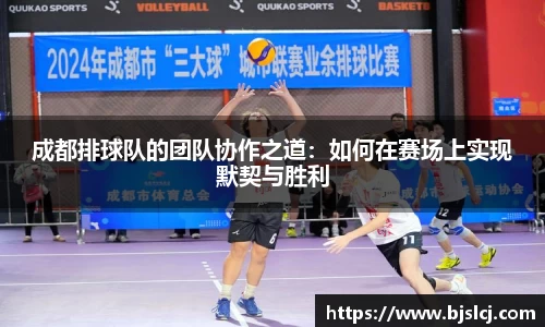 成都排球队的团队协作之道：如何在赛场上实现默契与胜利