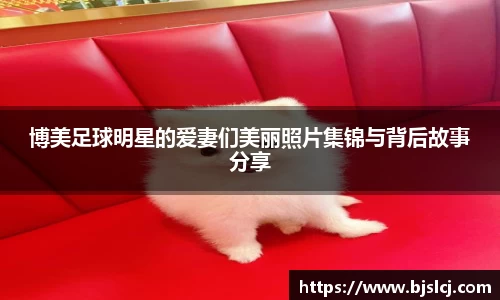 必一运动B-Sports